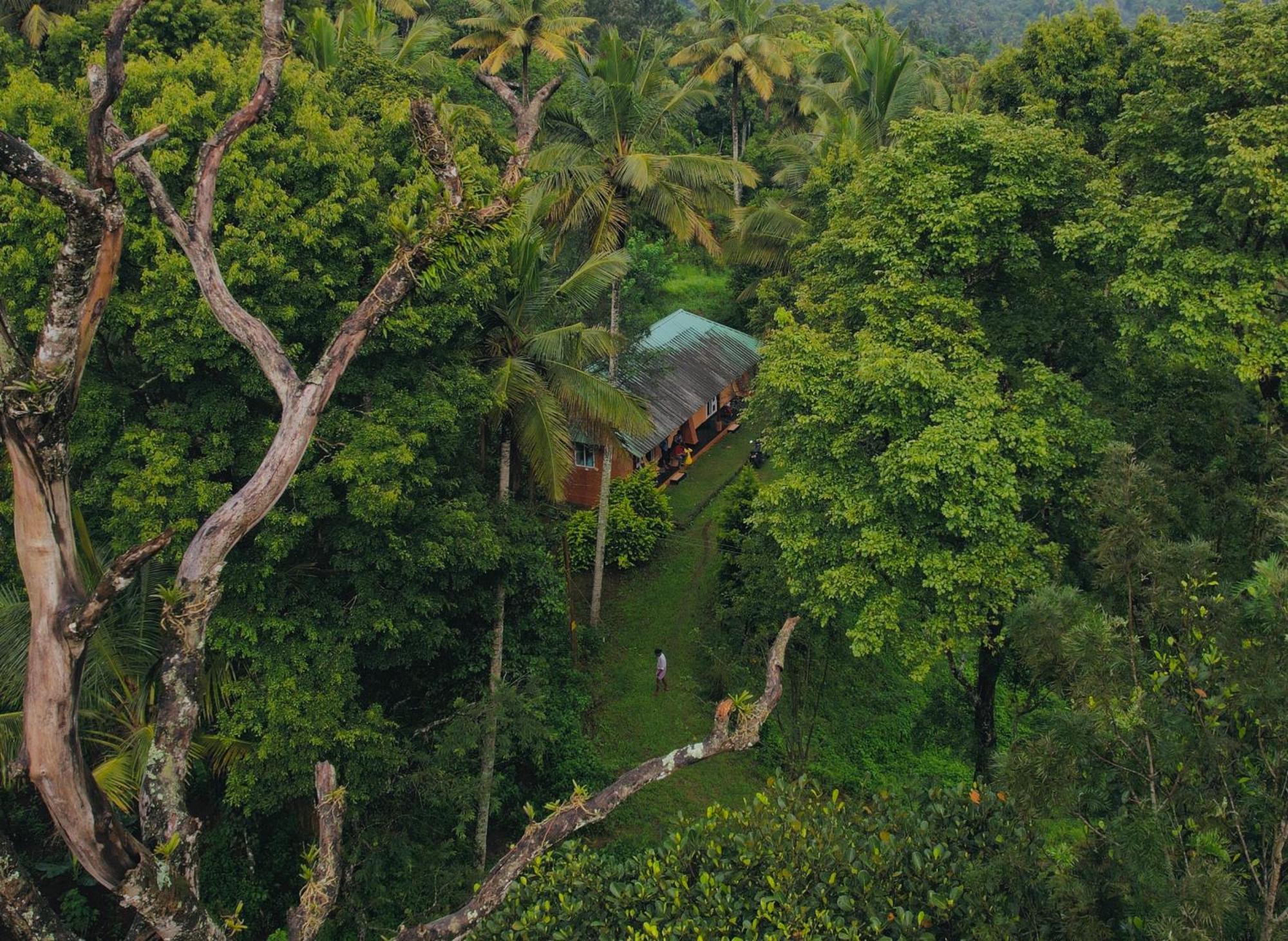 Punarjani Ayurvedic Resorts Ramakkalmedu Екстериор снимка