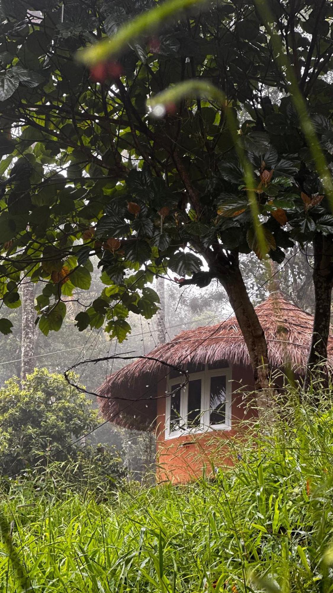 Punarjani Ayurvedic Resorts Ramakkalmedu Екстериор снимка